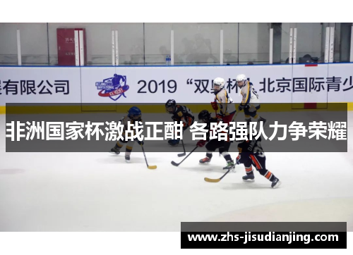 非洲国家杯激战正酣 各路强队力争荣耀 非洲国家杯激战正酣 各路强队力争荣耀